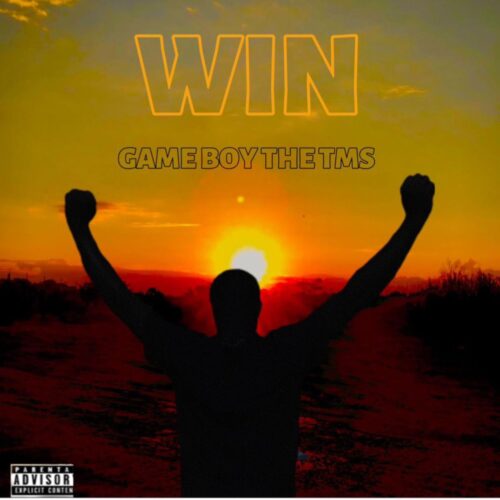 Game Boy The TMS – Win